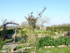 Ma-Cabane - Vente Maison LE MINIHIC SUR RANCE, 81 m²