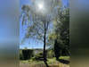 Ma-Cabane - Vente Maison Le Palais-sur-Vienne, 199 m²