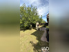 Ma-Cabane - Vente Maison Le Plessis-Pâté, 150 m²