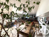 Ma-Cabane - Vente Maison Le Port-Marly, 195 m²