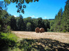 Ma-Cabane - Vente Maison Le Soulie, 130 m²