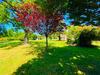 Ma-Cabane - Vente Maison LE TEMPLE-SUR-LOT, 295 m²