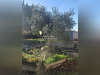 Ma-Cabane - Vente Maison Le Temple-sur-Lot, 220 m²