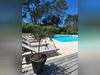 Ma-Cabane - Vente Maison LE THORONET, 121 m²