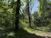 Ma-Cabane - Vente Maison Le Vésinet, 320 m²