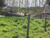 Ma-Cabane - Vente Maison LE VIEUX BOURG, 80 m²