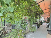 Ma-Cabane - Vente Maison LES ARCS, 120 m²