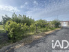 Ma-Cabane - Vente Maison Les Brouzils, 59 m²