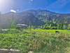Ma-Cabane - Vente Maison LES CONTAMINES MONTJOIE, 111 m²