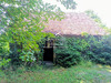 Ma-Cabane - Vente Maison Les Ormes, 55 m²