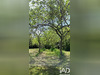 Ma-Cabane - Vente Maison Leyrat, 83 m²
