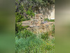 Ma-Cabane - Vente Maison LEZIGNAN CORBIERES, 136 m²