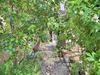 Ma-Cabane - Vente Maison LEZIGNAN CORBIERES, 140 m²