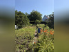 Ma-Cabane - Vente Maison Lingolsheim, 104 m²