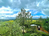 Ma-Cabane - Vente Maison Lisieux, 276 m²
