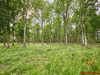 Ma-Cabane - Vente Maison LIVAROT, 167 m²