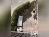 Ma-Cabane - Vente Maison Livet-Et-Gavet, 202 m²