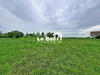 Ma-Cabane - Vente Maison Livilliers, 850 m²
