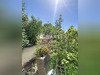 Ma-Cabane - Vente Maison Loisy-sur-Marne, 86 m²