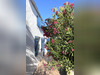 Ma-Cabane - Vente Maison Loix, 90 m²
