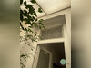 Ma-Cabane - Vente Maison Loos, 178 m²
