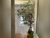 Ma-Cabane - Vente Maison Loos, 178 m²