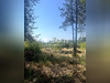 Ma-Cabane - Vente Maison Lorgues, 240 m²