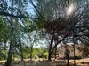 Ma-Cabane - Vente Maison Los Masos, 164 m²