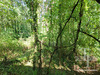 Ma-Cabane - Vente Maison Lussas-et-Nontronneau, 137 m²