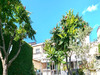 Ma-Cabane - Vente Maison MABLY, 91 m²