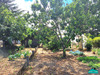 Ma-Cabane - Vente Maison MACHECOUL, 107 m²