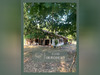 Ma-Cabane - Vente Maison Maillas, 274 m²
