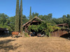 Ma-Cabane - Vente Maison Maillas, 274 m²