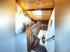 Ma-Cabane - Vente Maison MAINTENON, 101 m²
