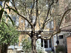 Ma-Cabane - Vente Maison MALAUCENE, 160 m²