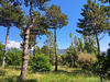 Ma-Cabane - Vente Maison MALAUCENE, 110 m²