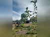 Ma-Cabane - Vente Maison Malicorne-sur-Sarthe, 54 m²