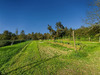 Ma-Cabane - Vente Maison MANCIET, 100 m²