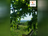 Ma-Cabane - Vente Maison Marciac, 170 m²