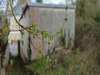 Ma-Cabane - Vente Maison Marcilly-sur-Maulne, 121 m²