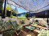 Ma-Cabane - Vente Maison Marcq-en-Baroeul, 133 m²