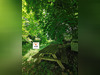 Ma-Cabane - Vente Maison Margouet-Meymes, 520 m²