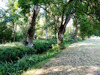 Ma-Cabane - Vente Maison MARIGNAC 17800, 174 m²