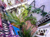 Ma-Cabane - Vente Maison Marseillan, 153 m²