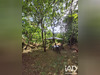 Ma-Cabane - Vente Maison Massat, 60 m²