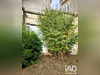 Ma-Cabane - Vente Maison Matha, 439 m²
