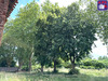 Ma-Cabane - Vente Maison MAZERES, 225 m²