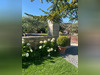 Ma-Cabane - Vente Maison Ménerbes, 380 m²