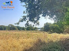Ma-Cabane - Vente Maison Merlevenez, 178 m²