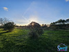 Ma-Cabane - Vente Maison Messanges, 90 m²